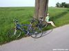 20100606_1_007.jpg