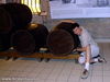 2008_06_040.jpg