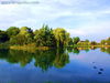 2008_07_006.jpg