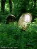 20090530_1_017.jpg