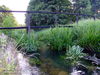 20090801_1_010.jpg